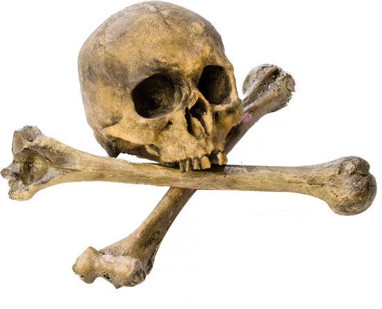 skull